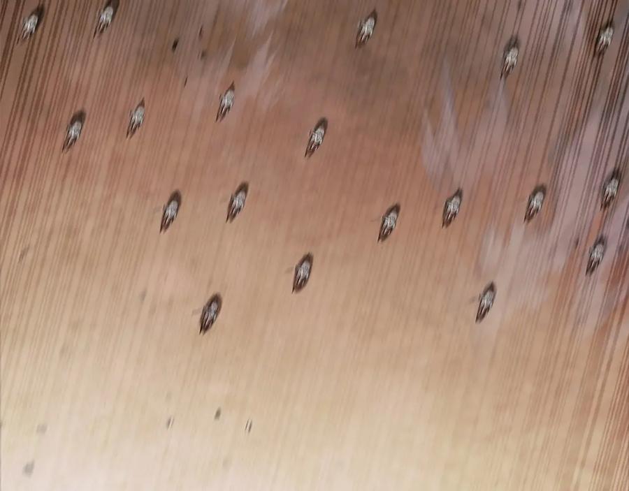 第138页