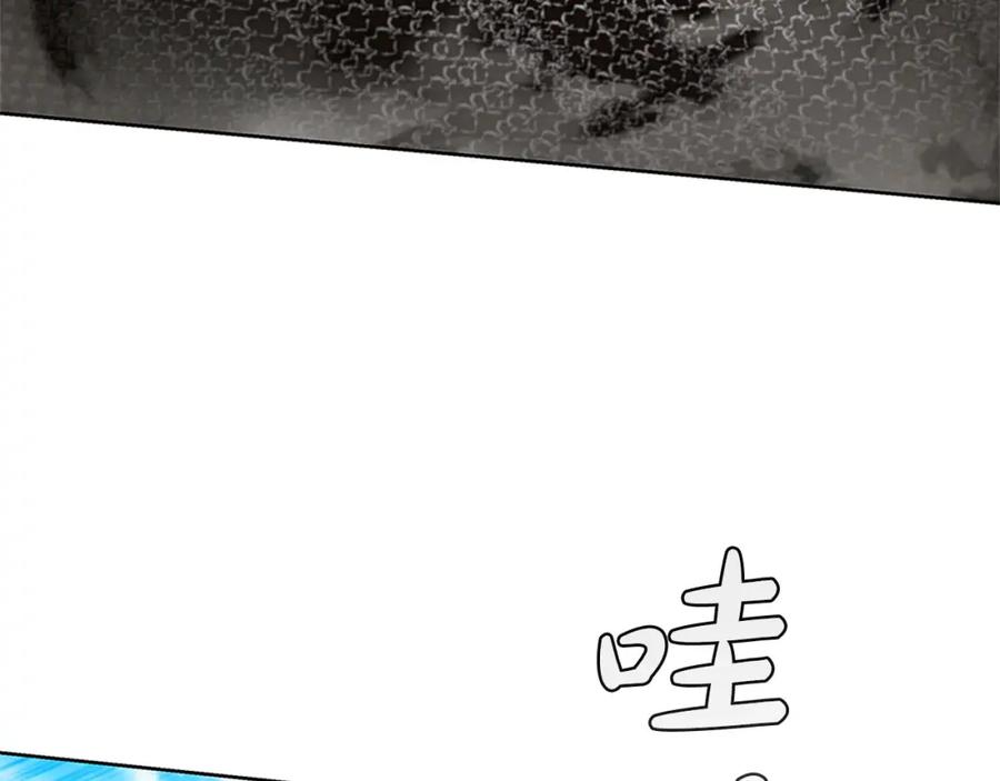 第242页