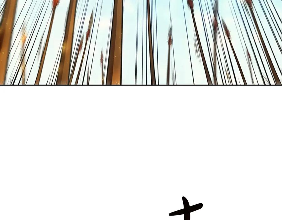 第224页