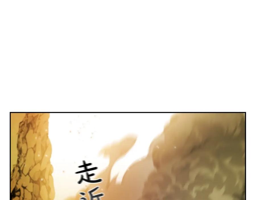 第231页