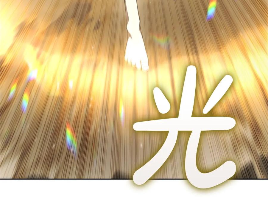第238页