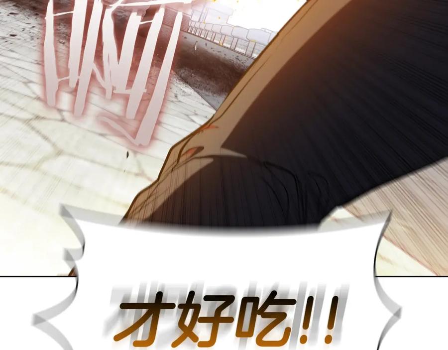 第204页