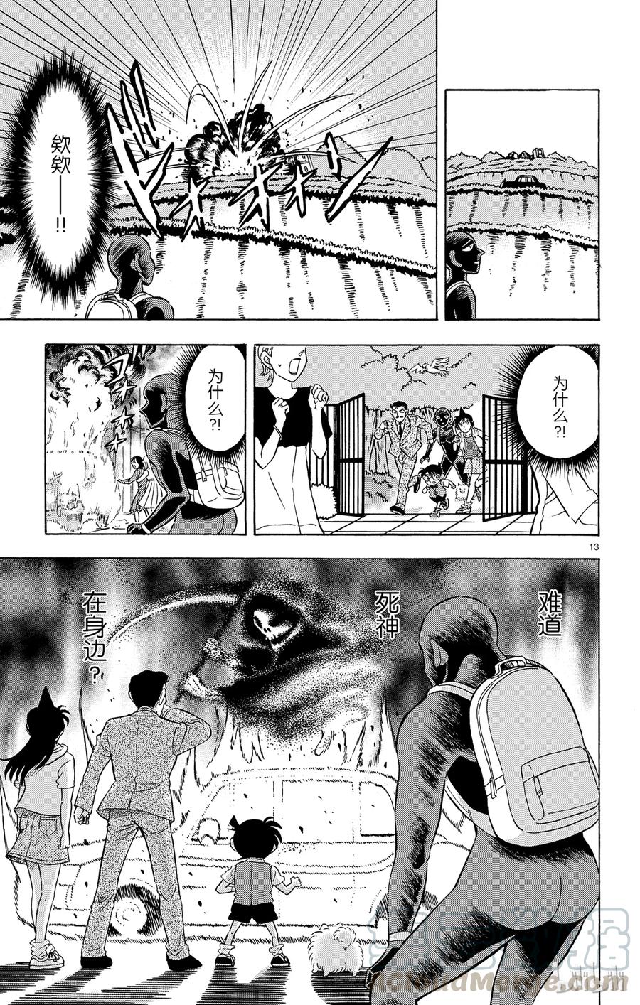 第13页