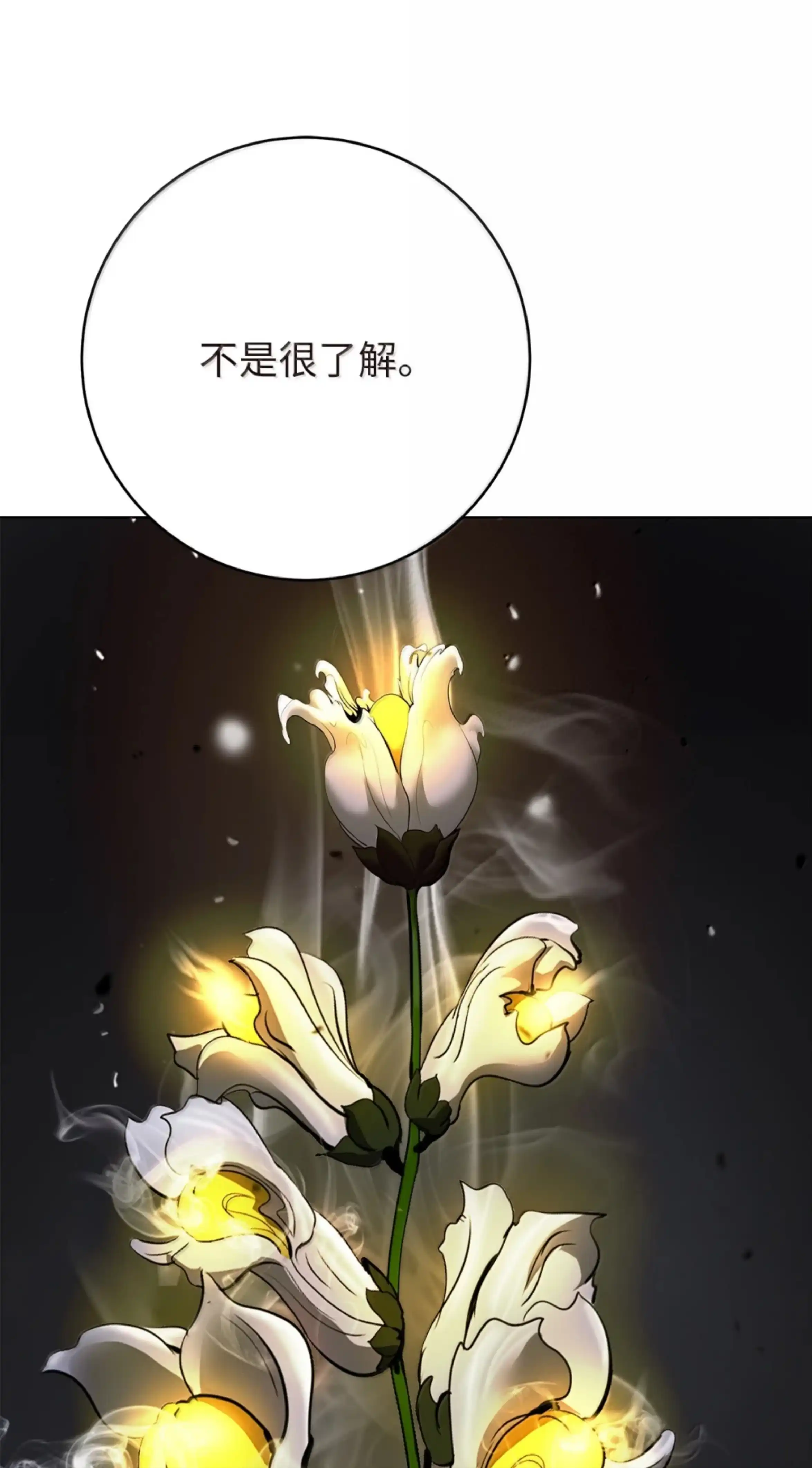 第236页