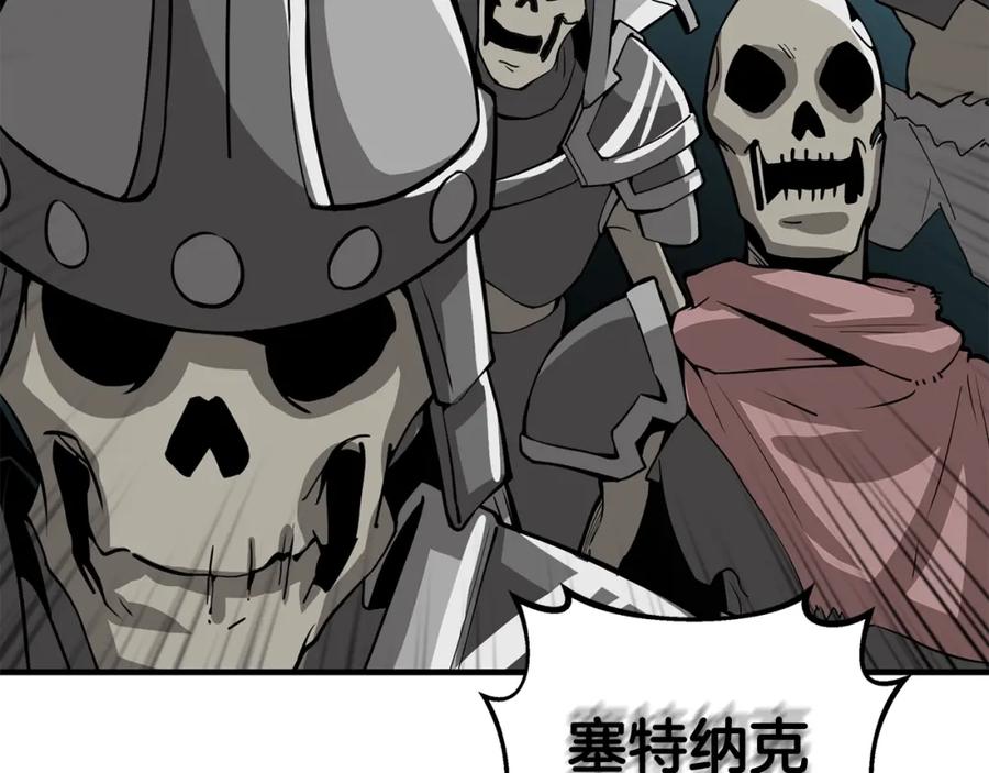 第210页