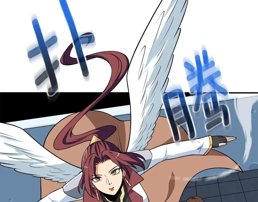 第204页