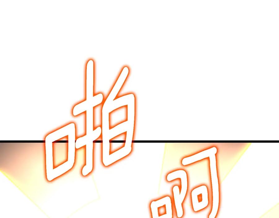 第224页