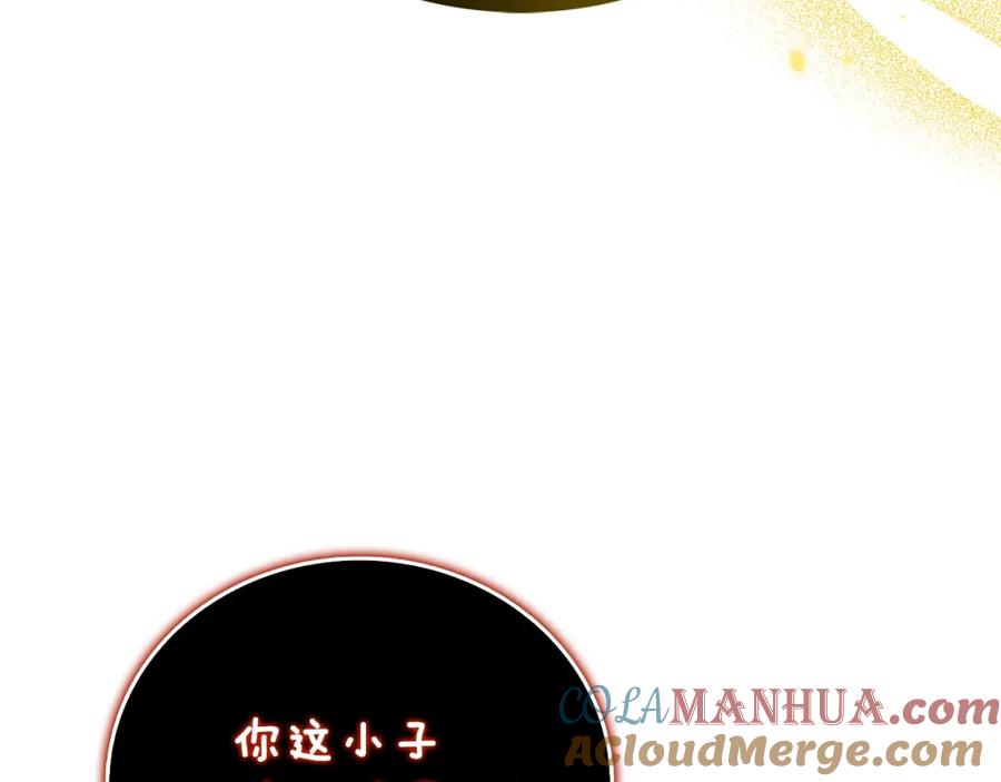 第233页