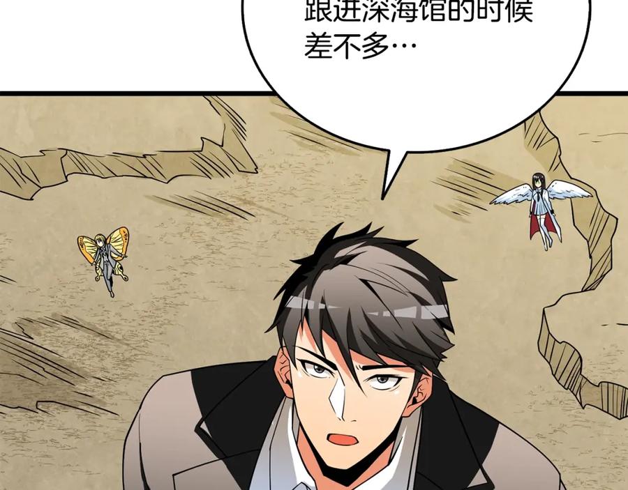 第204页