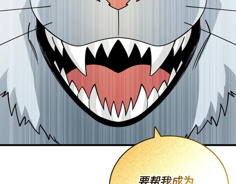 第207页