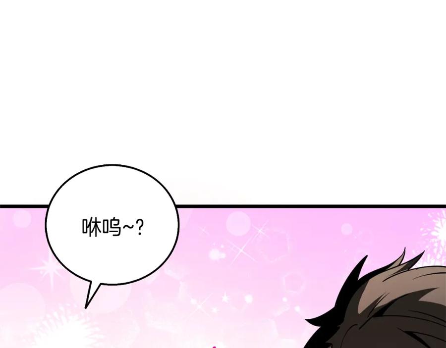 第223页
