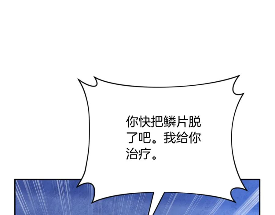 第240页