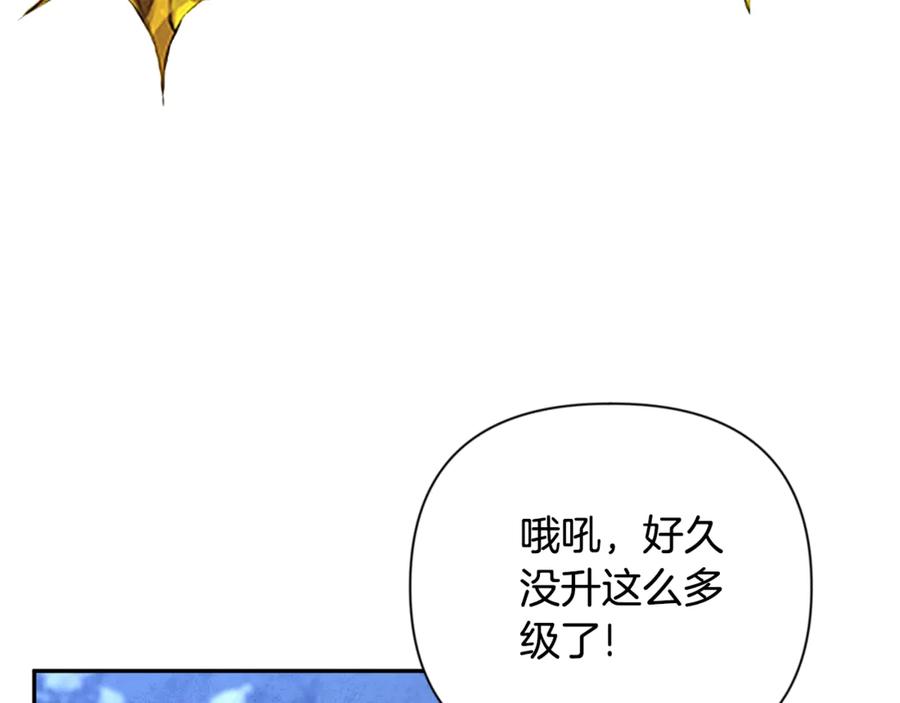 第256页
