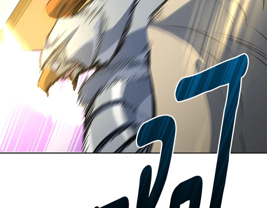 第496页