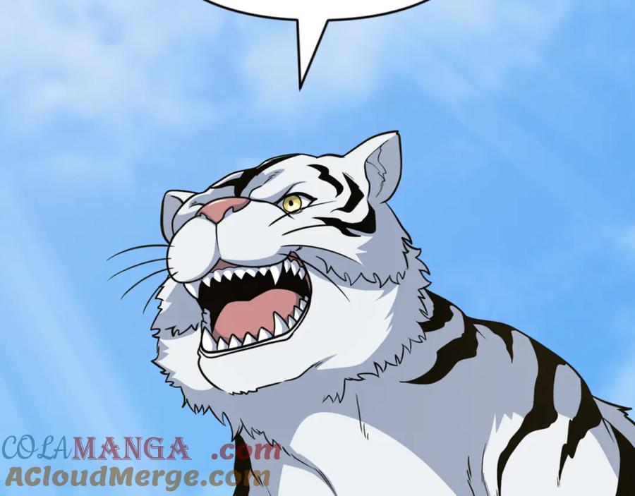 第517页