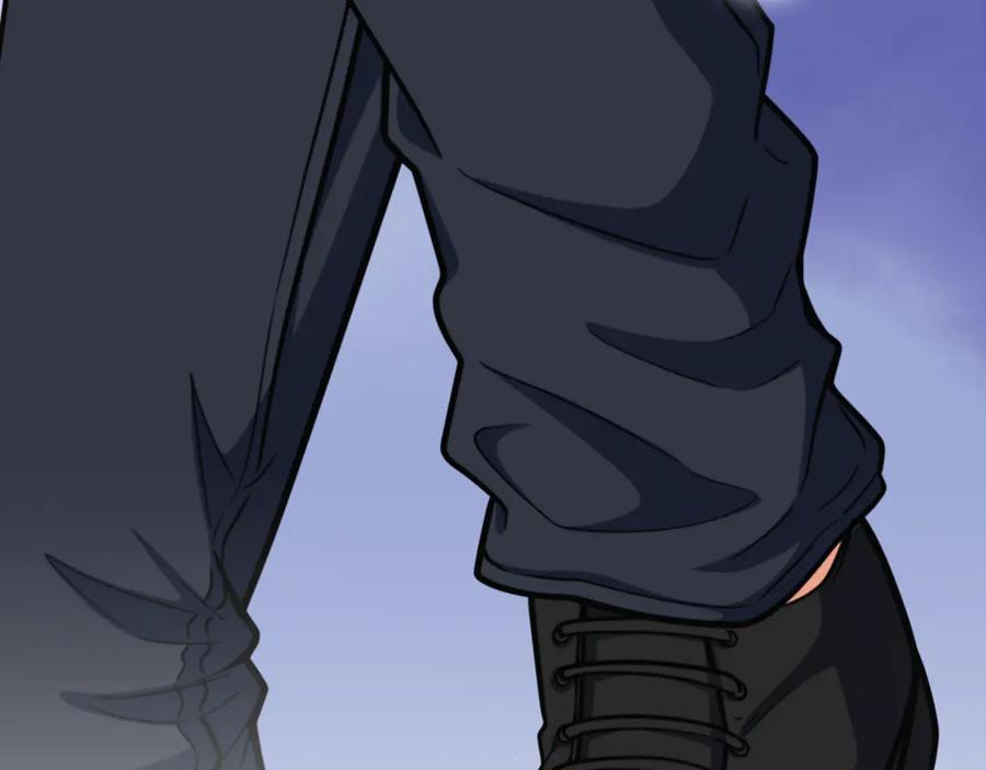 第223页