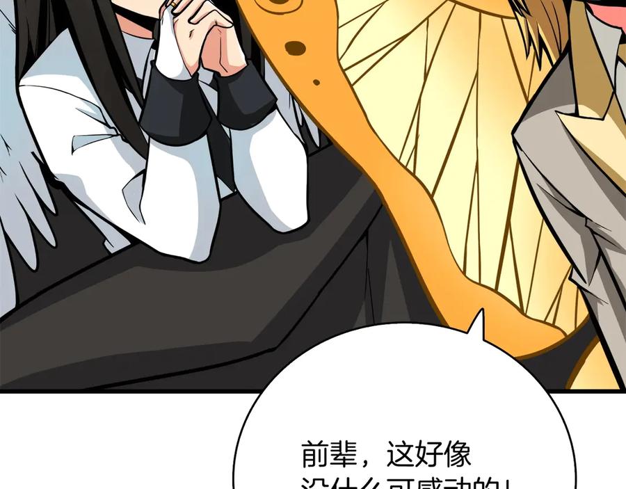 第207页