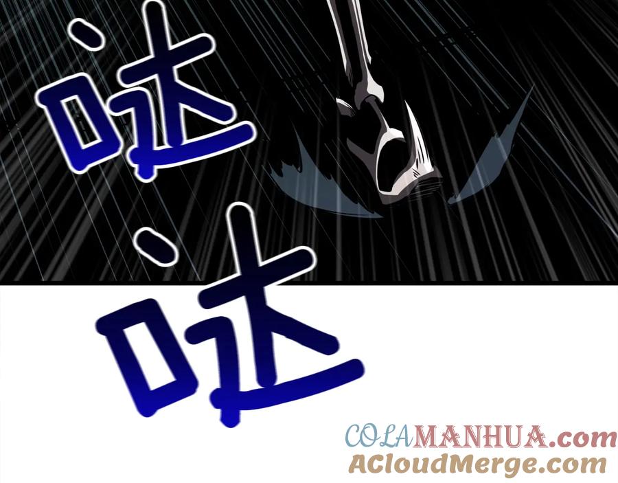 第216页