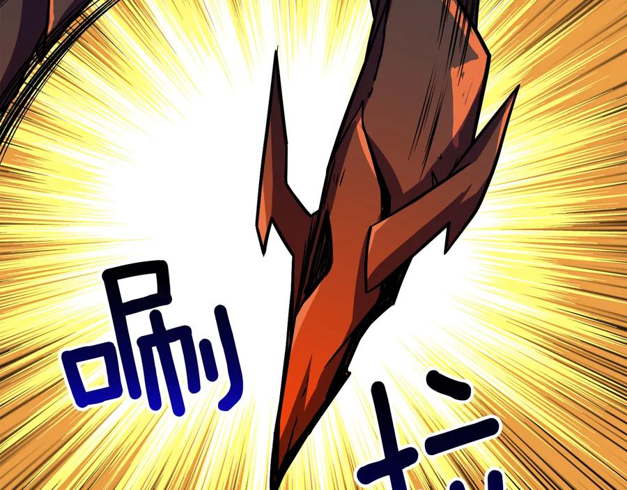 第216页