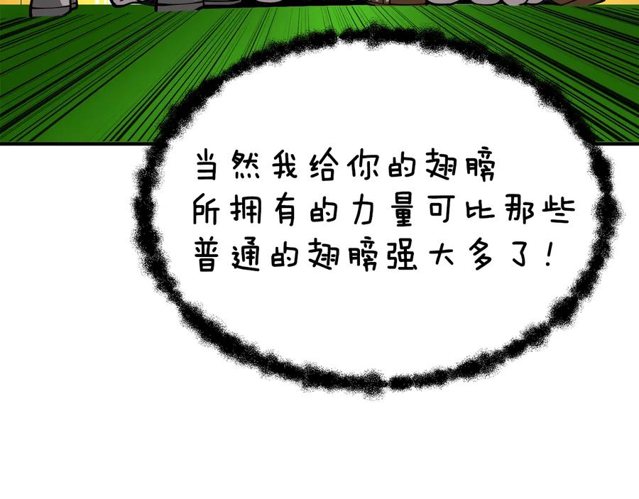 第214页