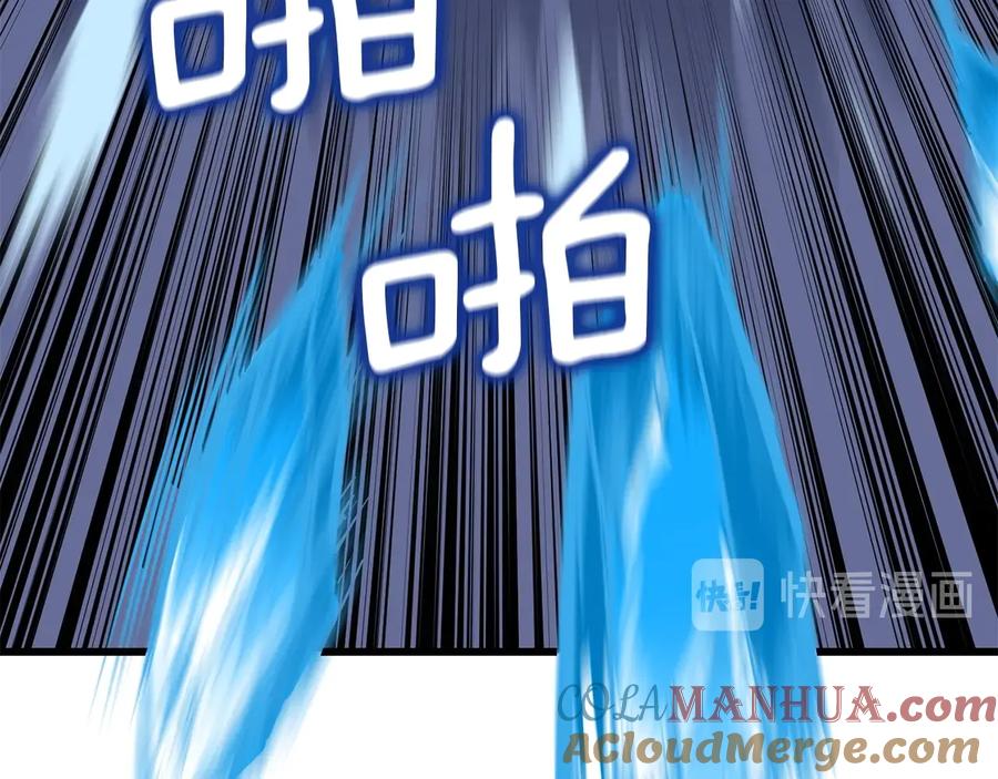 第217页