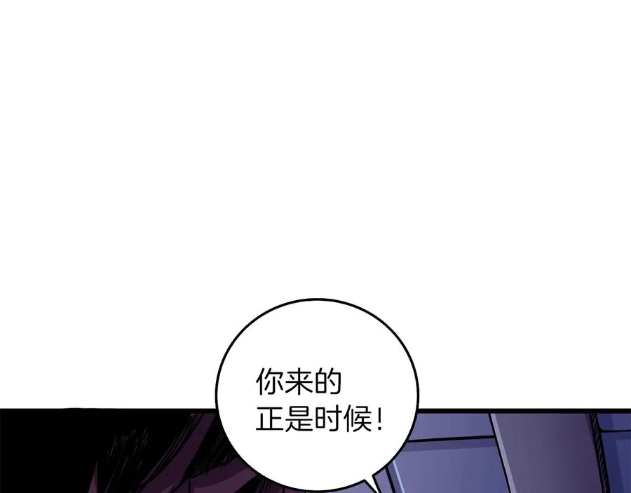 第244页