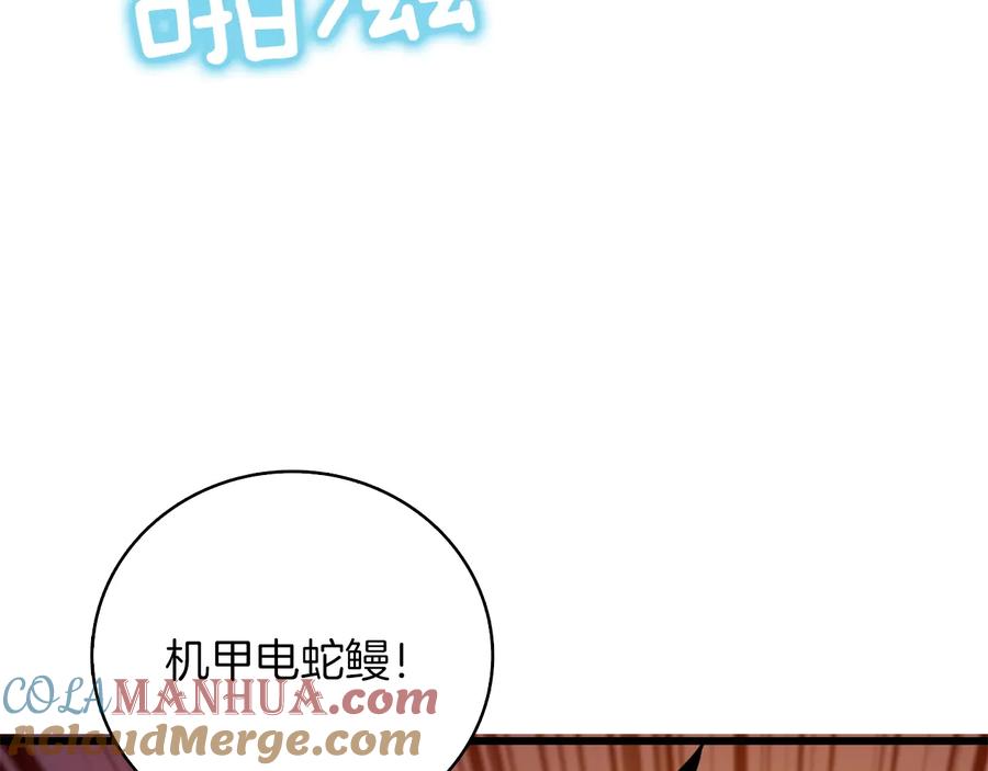 第229页
