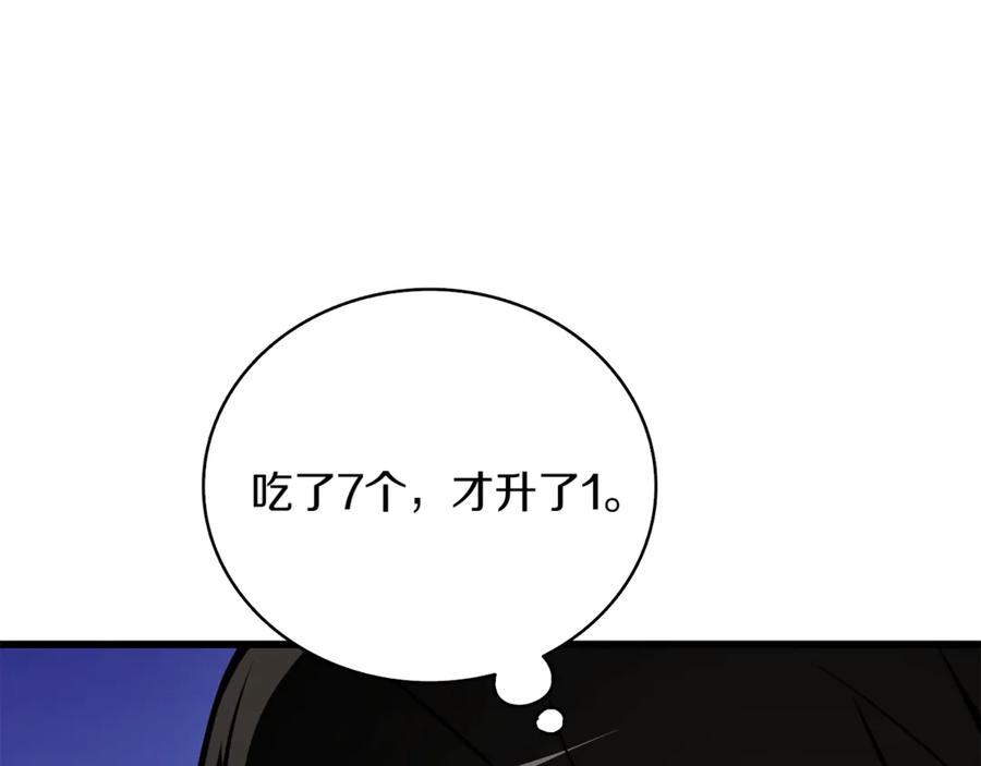 第259页