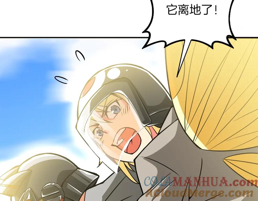 第229页