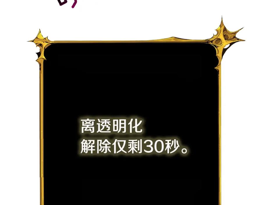 第242页