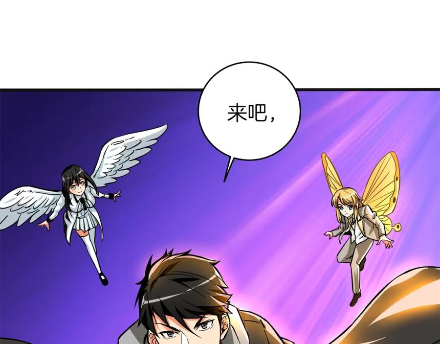 第231页