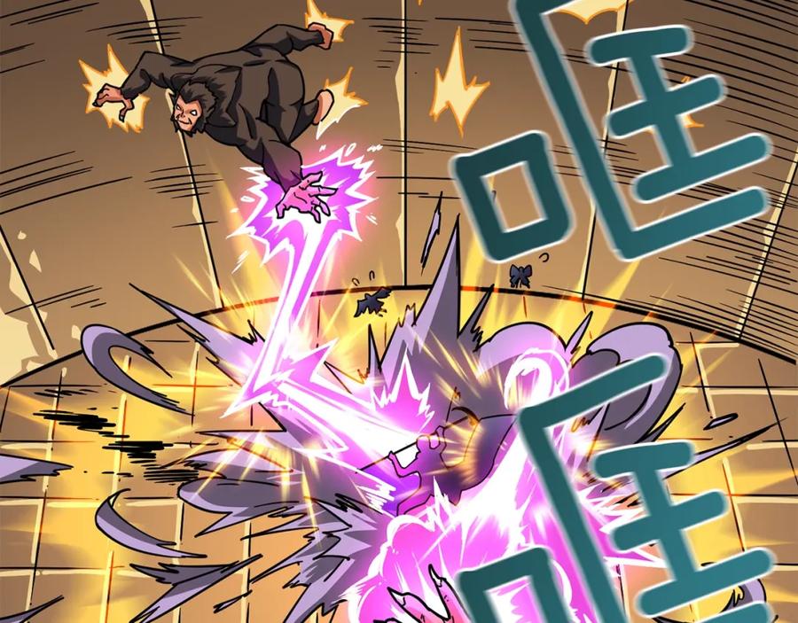 第204页