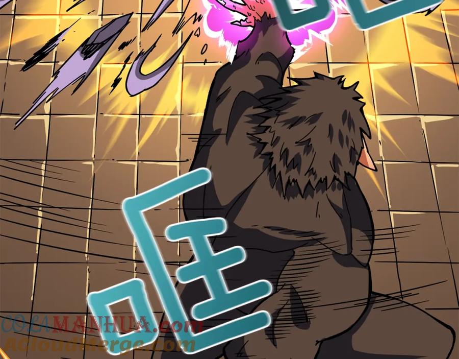 第205页
