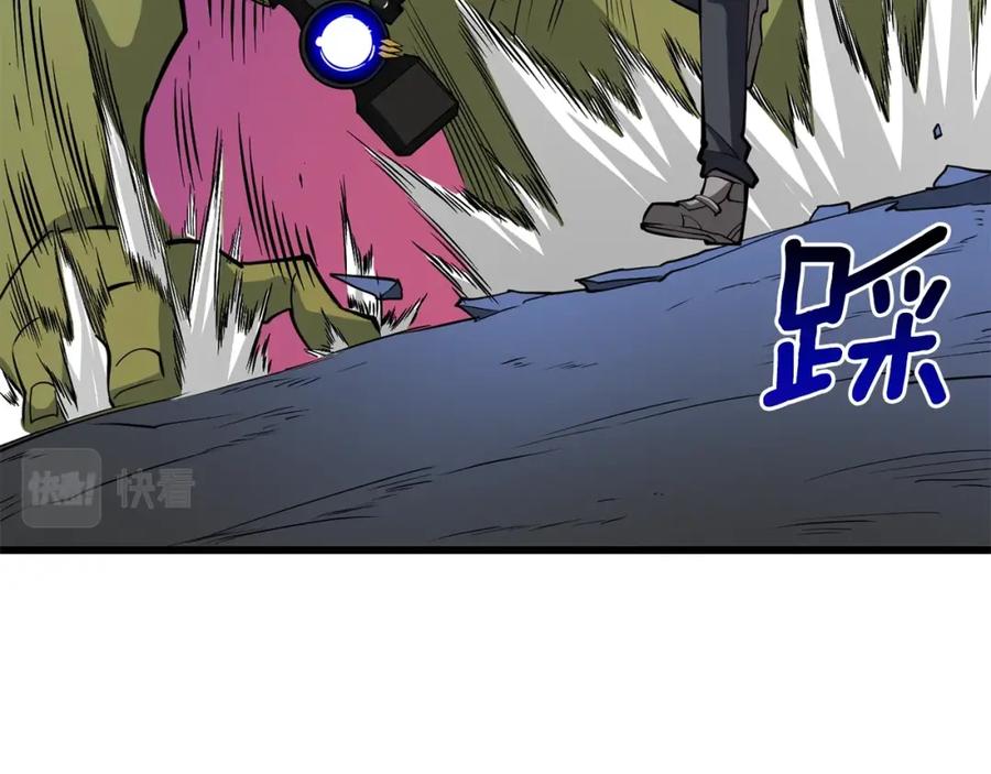 第223页