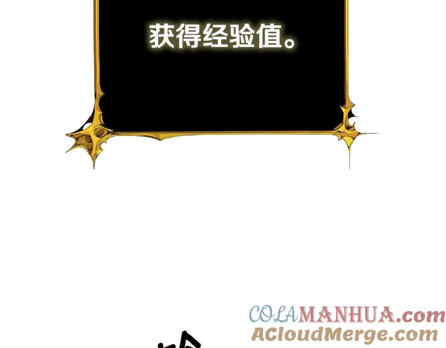 第229页