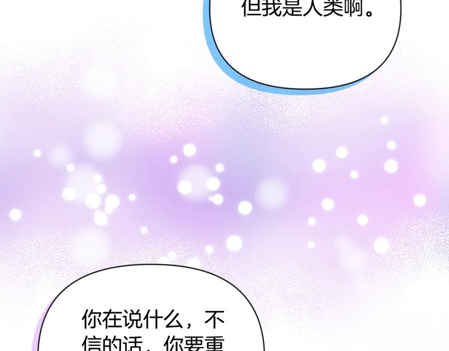第335页