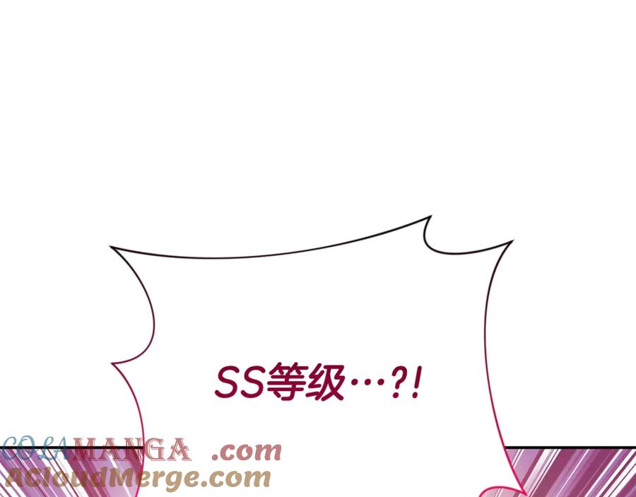 第242页
