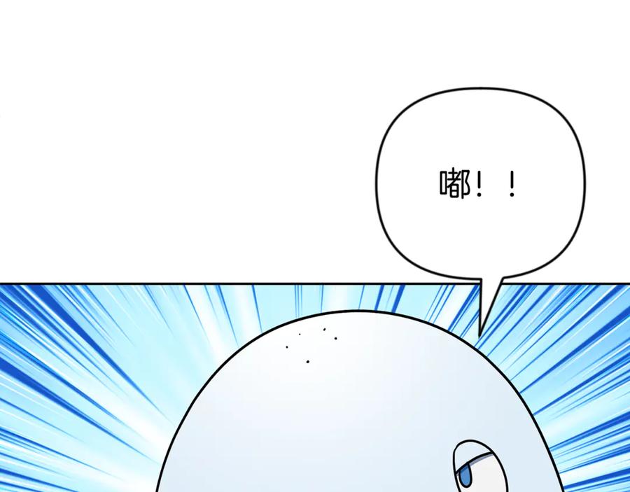 第335页