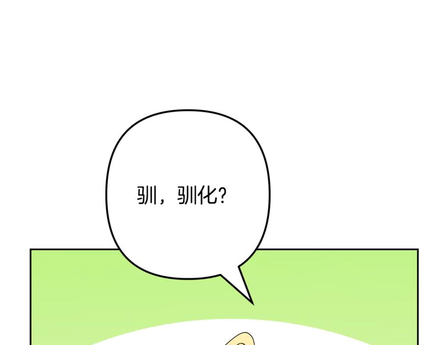 第443页