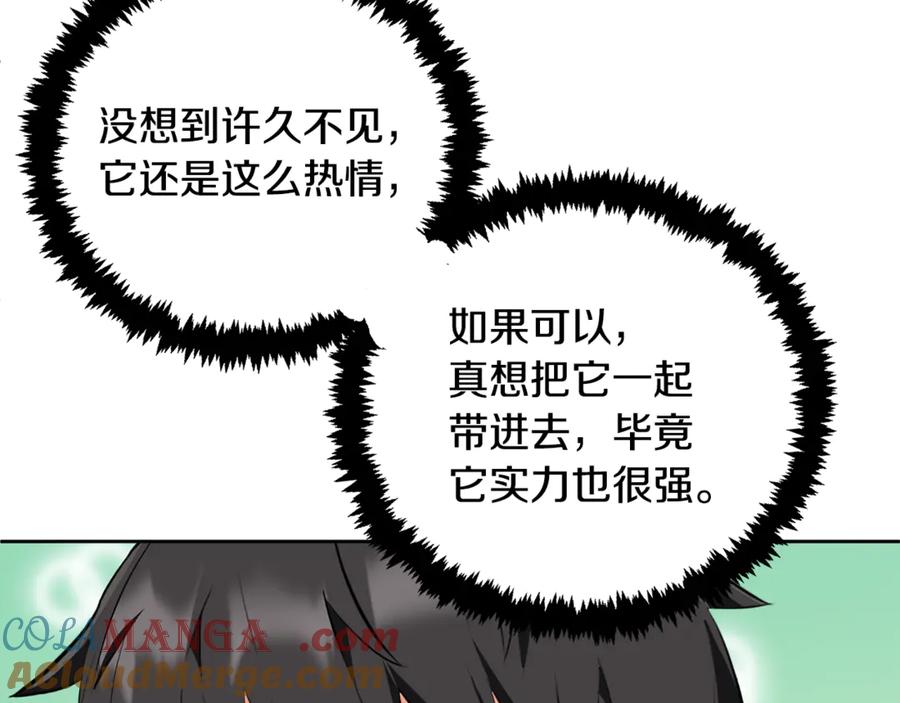 第242页
