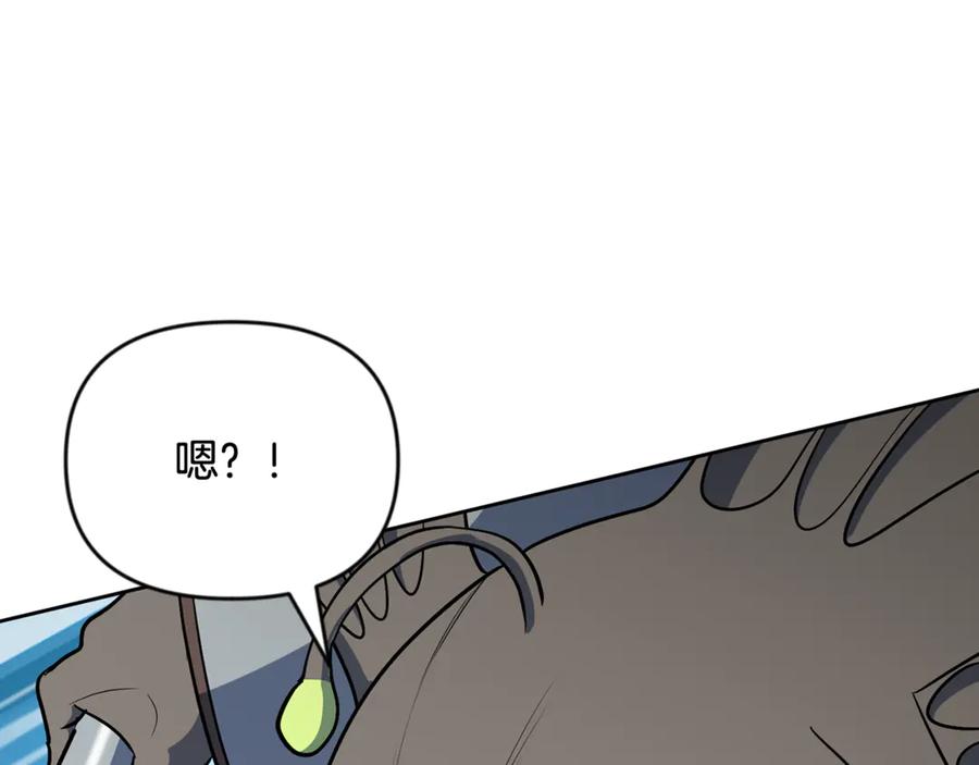 第260页
