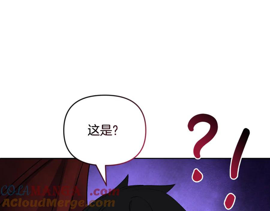 第482页