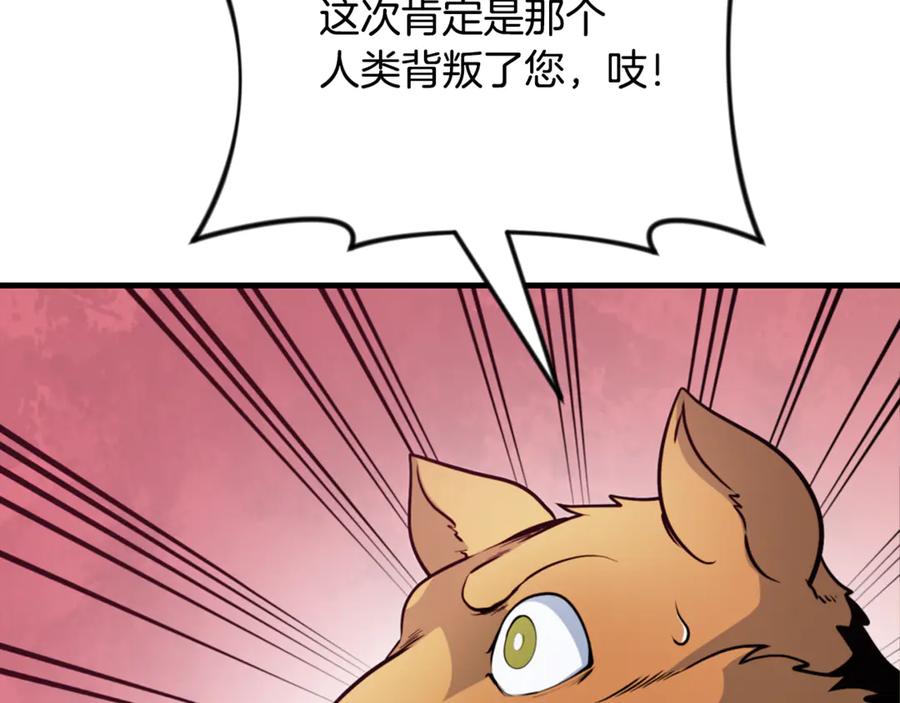 第527页