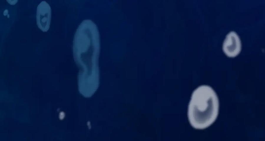 第140页