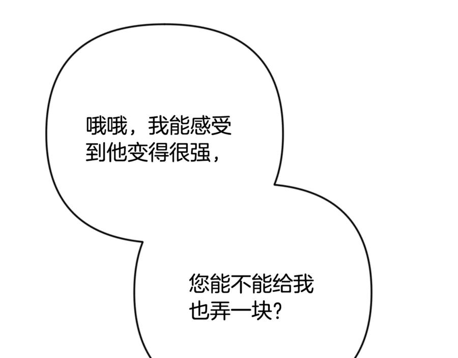 第260页