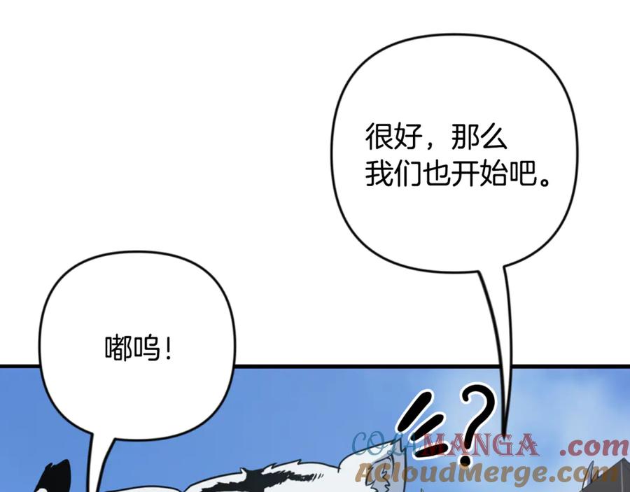 第338页
