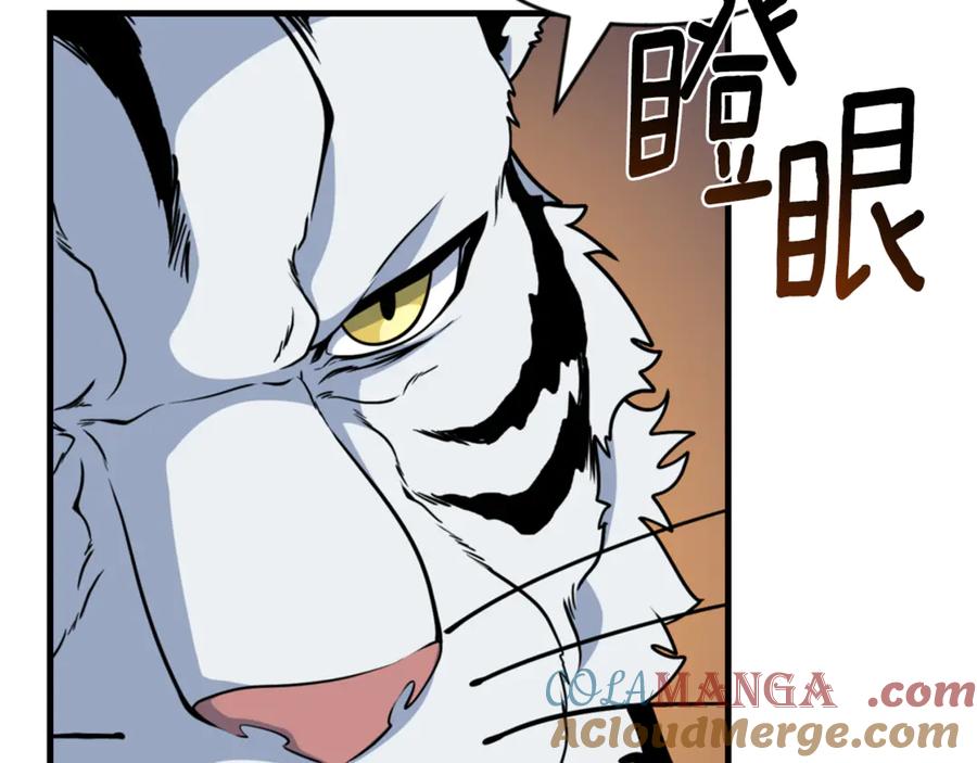 第254页