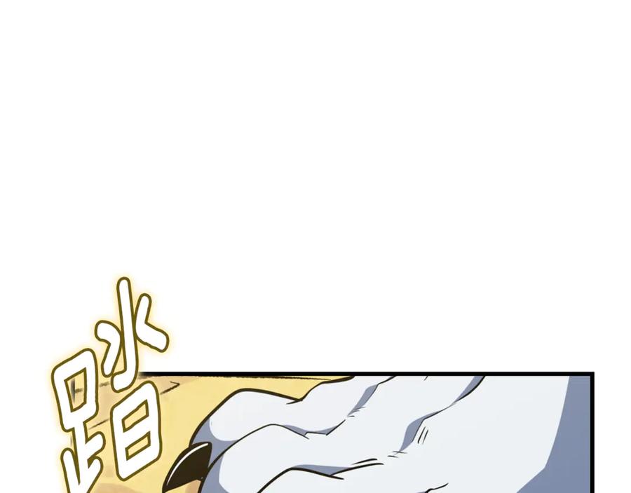 第509页