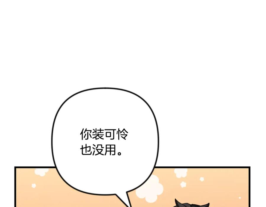 第521页