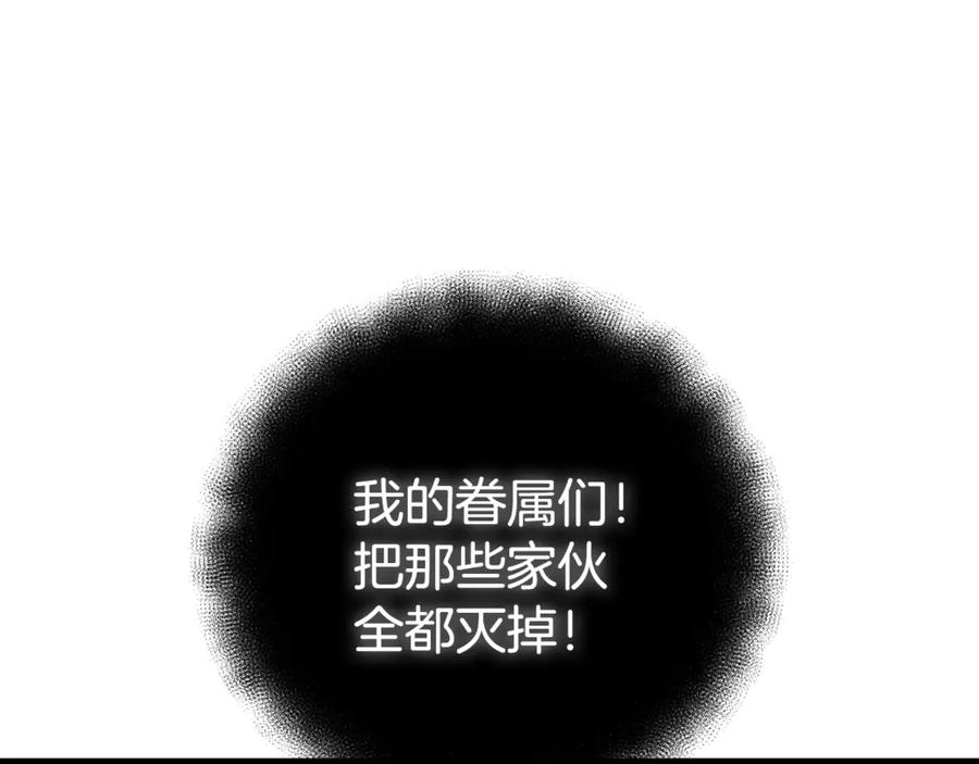 第335页